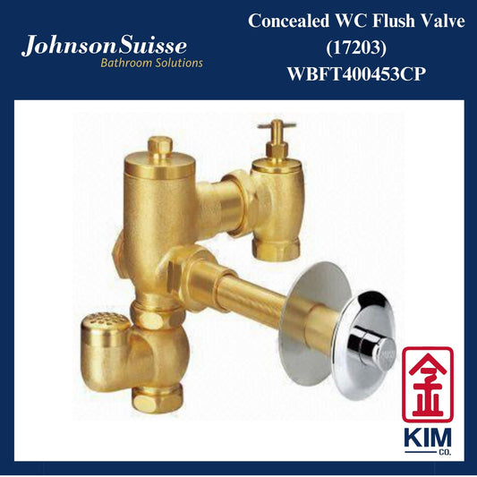 Johnson Suisse Concealed Wc Flush Valve (WBFT400453CP)