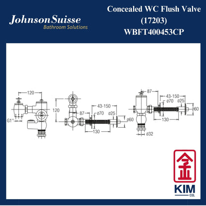 Johnson Suisse Concealed Wc Flush Valve (WBFT400453CP)
